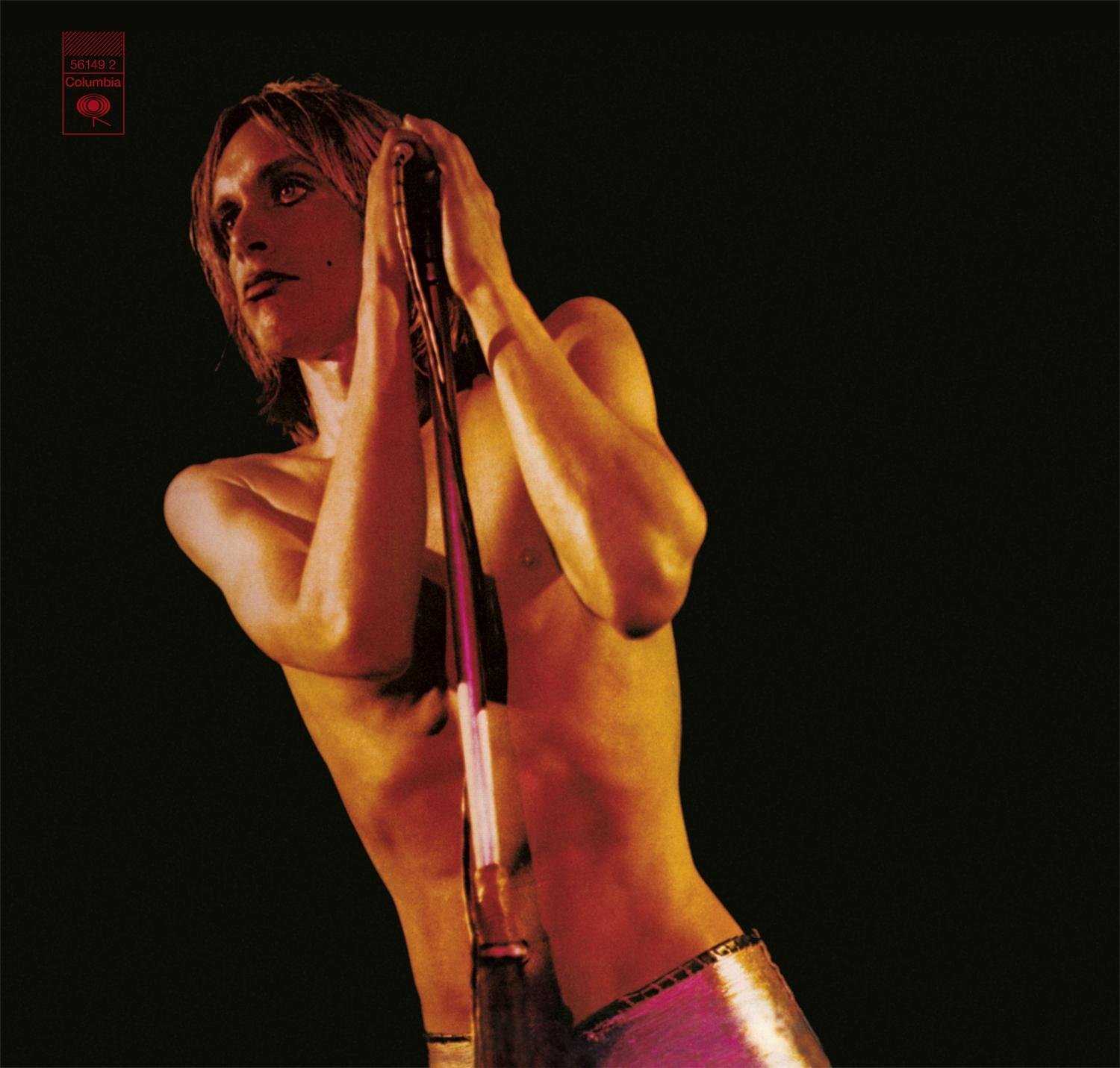 Iggy and the Stooges Raw Power review