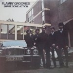 Flamin Groovies - Shake Some Action