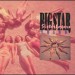 Big Star - Third/Sister Lovers