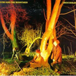 Echo and The Bunnymen - Crocodiles