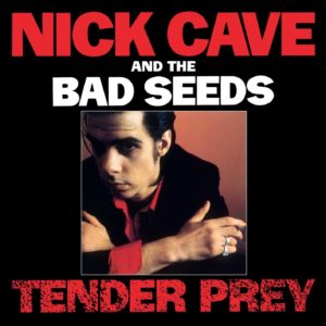 Nick-cave-tender-prey