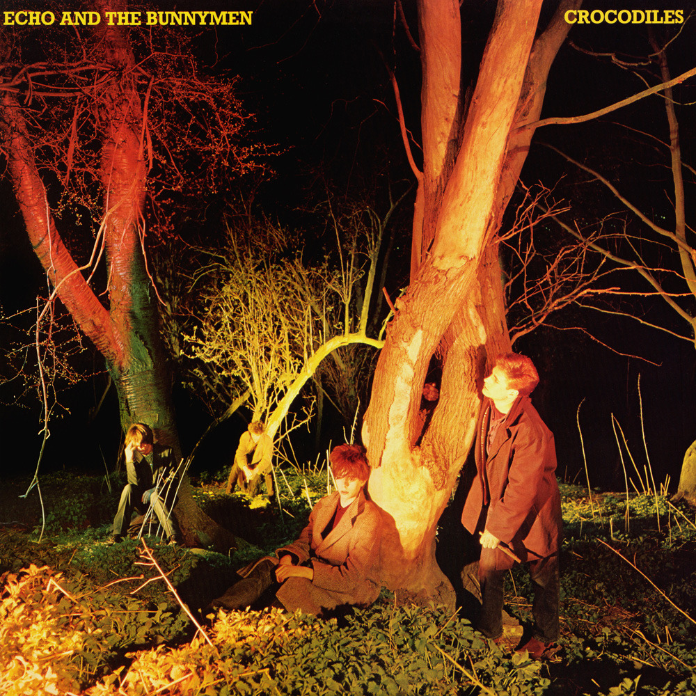 Echo and the Bunnymen Crocodiles review