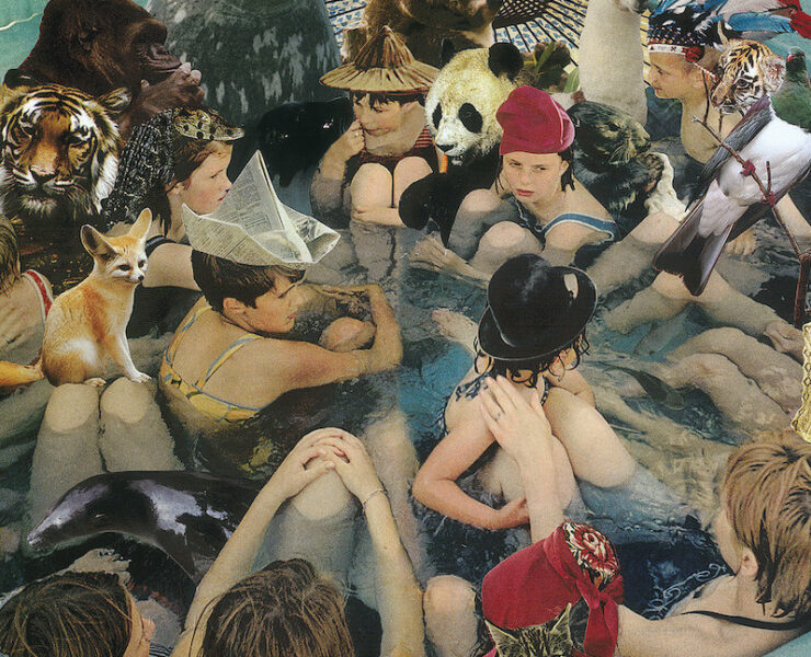 Panda Bear Person Pitch review