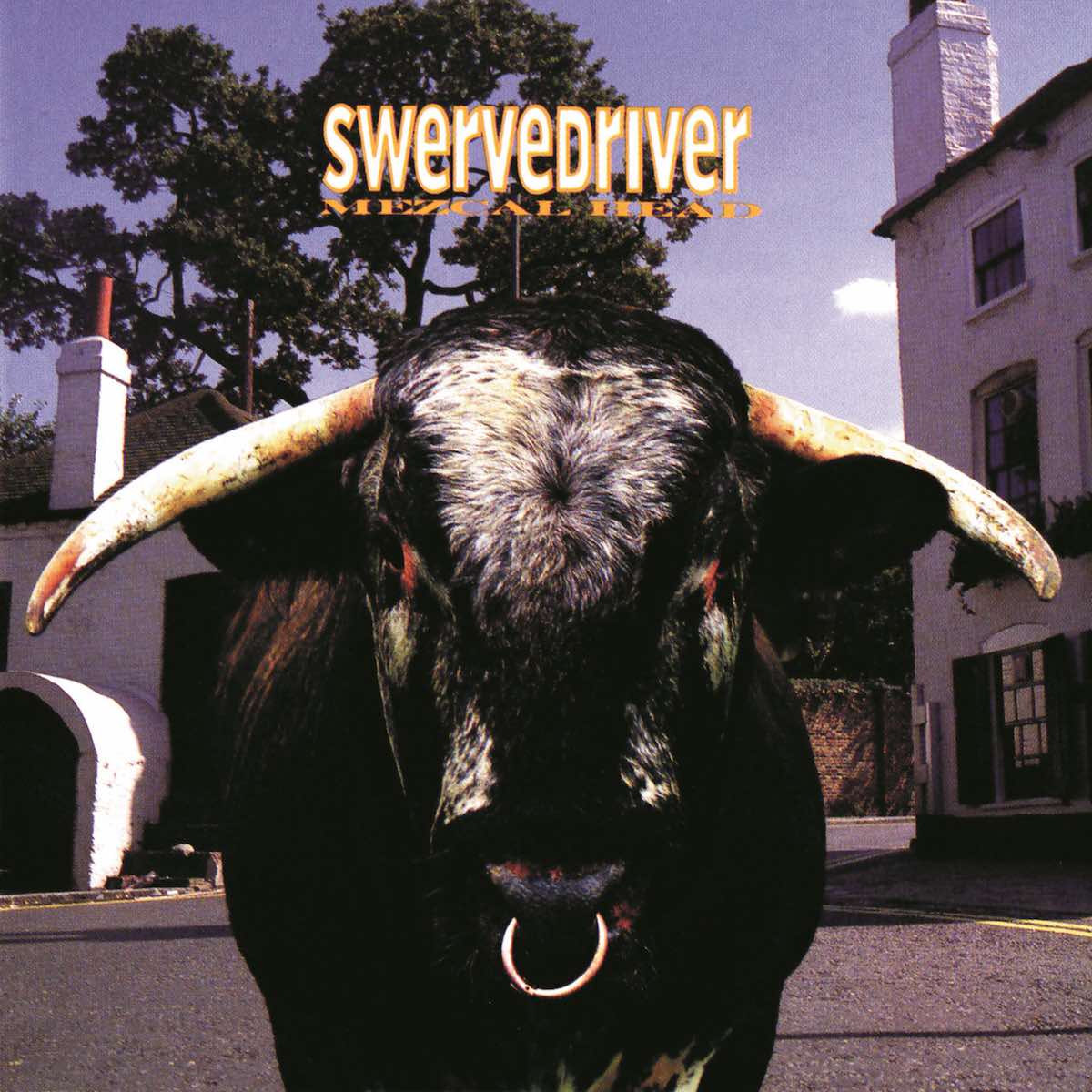 Swervedriver Mezcal Head review