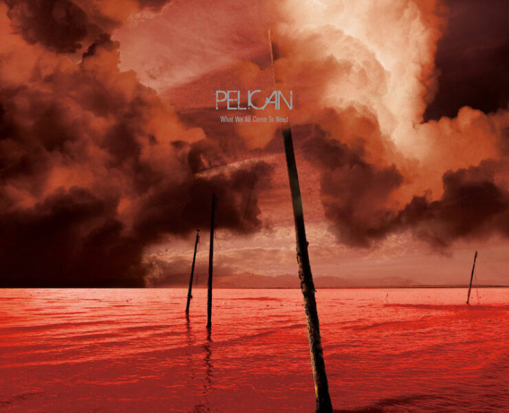 Pelican What We All Come to Need review