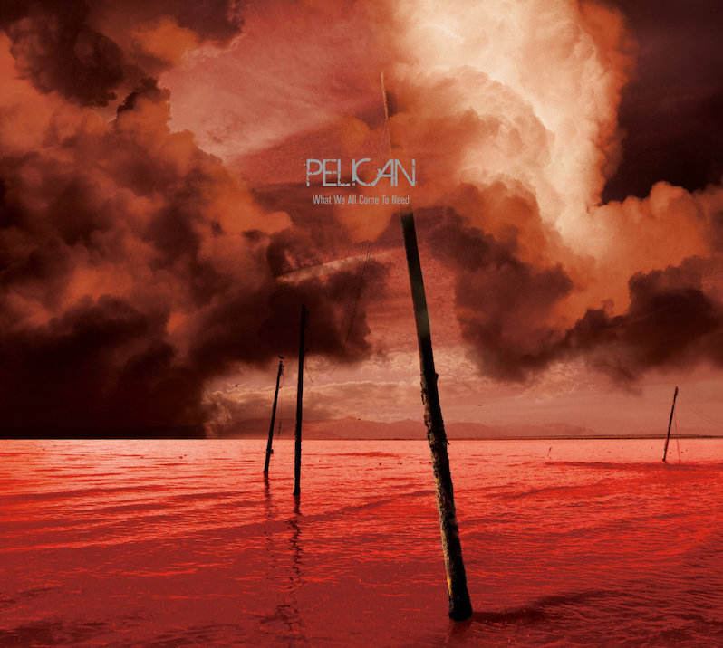Pelican What We All Come to Need review
