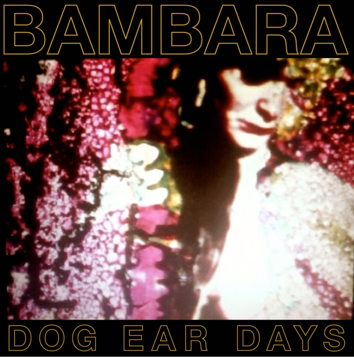 Bambara Dog Ear Days