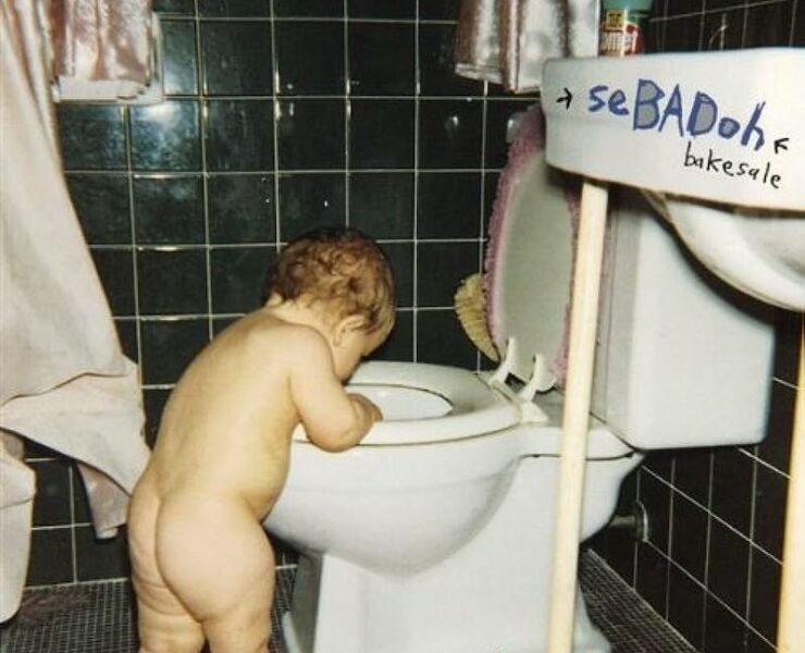 Sebadoh Bakesale review
