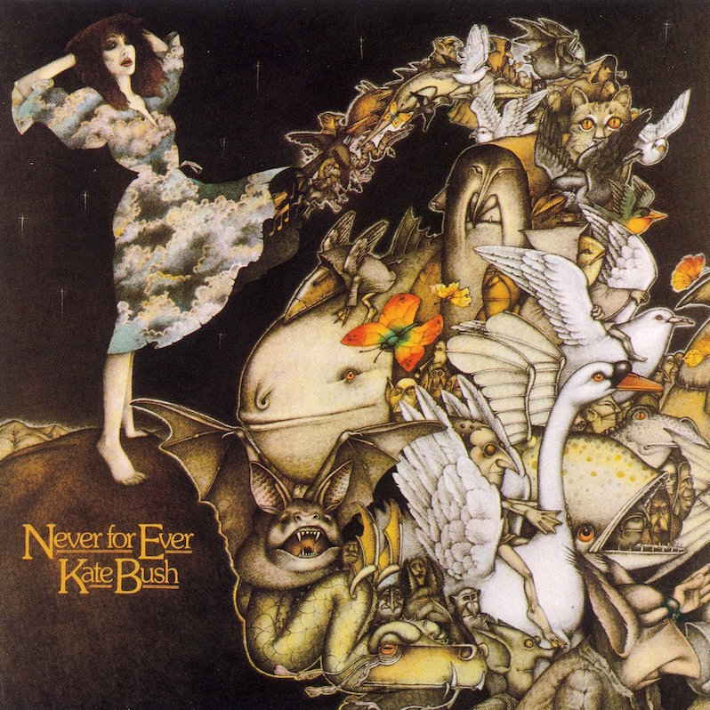 kate-bush-never