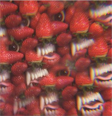 Thee Oh Sees - Floating Coffin