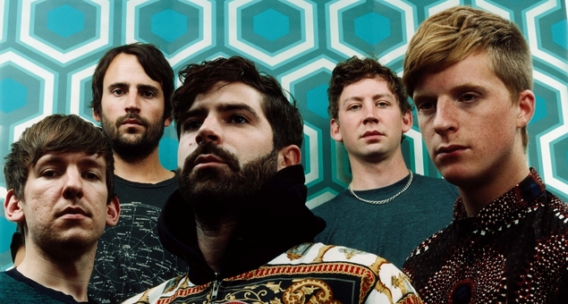 Foals