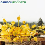 Caribou - Andorra