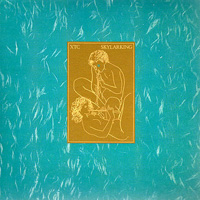 silencers letter from st paul review