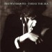 The Waterboys - This is the Sea