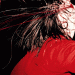 Icarus Line - Penance Soiree