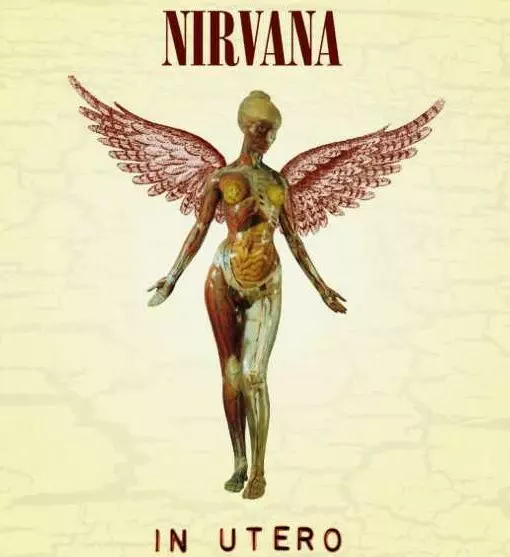 Nirvana : In Utero - Treble