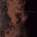 Scott Walker - The Drift