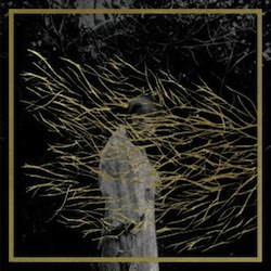 Forest Swords - Engravings