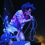 Solange FYF Fest 2013