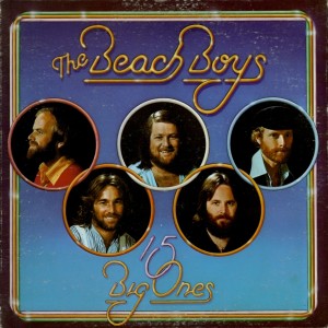 Beach Boys - 15 Big ones