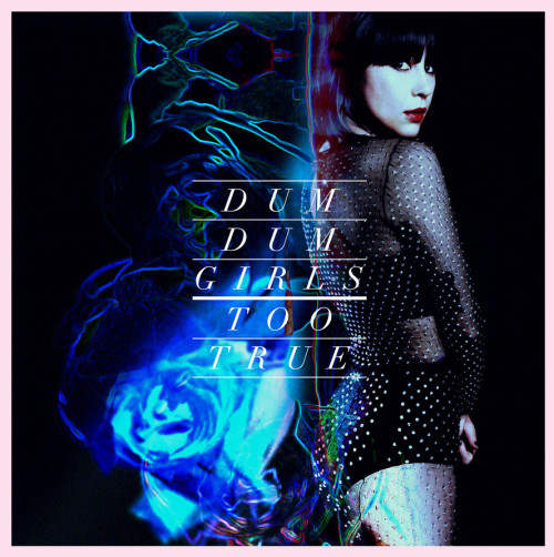 Dum Dum Girls - Too True review