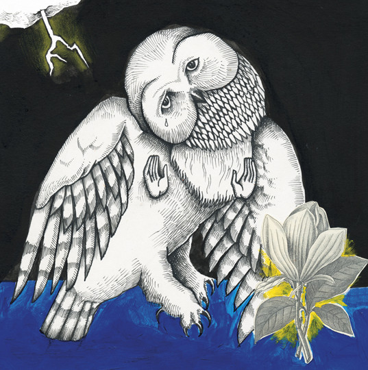 Songs Ohia - Magnolia Electric Co.