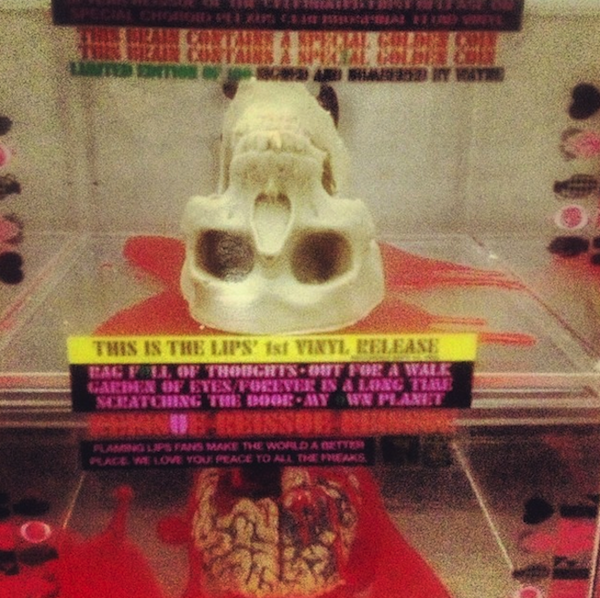 Flaming Lips chocolate skull