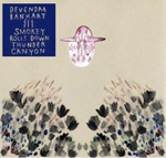 Devendra Banhart - Smokey Rolls