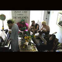 Walkmen Pussy Cats