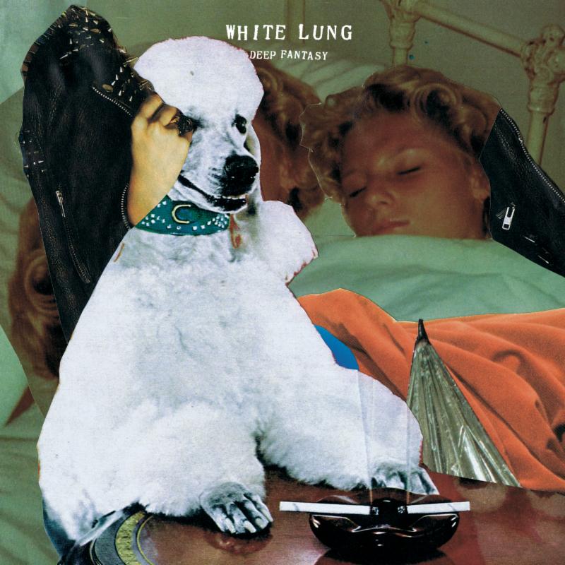 overlooked records 2014 White Lung Deep Fantasy