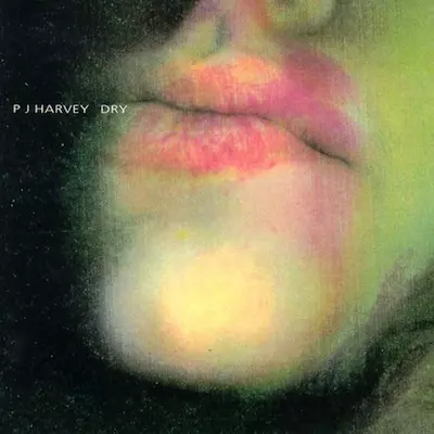 Celebrate the Catalog: The PJ Harvey albums | Treble