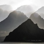 S. Carey Range of Light review