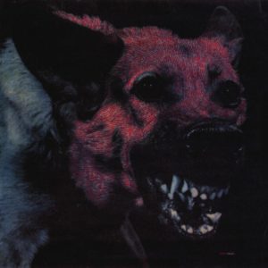 Protomartyr under color