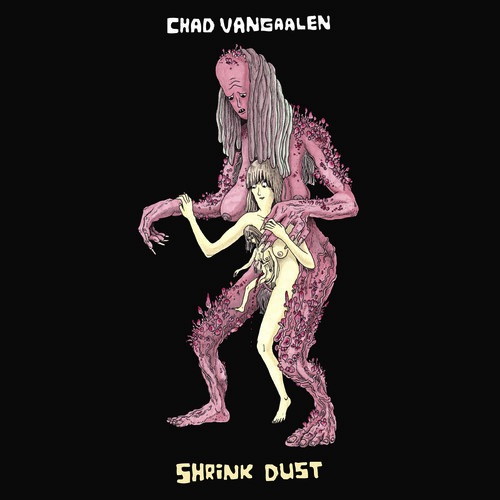 Chad VanGaalen Shrink Dust