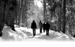 10 Essential Profound Lore Albums