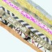 tUnE-yArDs whokill