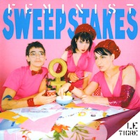 Le Tigre Feminist Sweepstakes