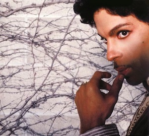 Prince Musicology