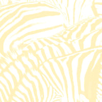 Beach House Teen Dream