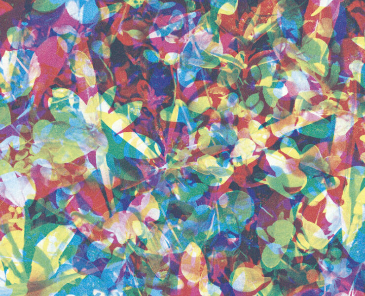 Caribou Our Love review