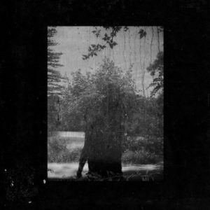 Grouper ruins top 50 albums of 2014
