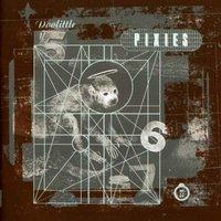 pixies doolittle essential 4ad tracks