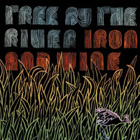 Iron and Wine tree by the river