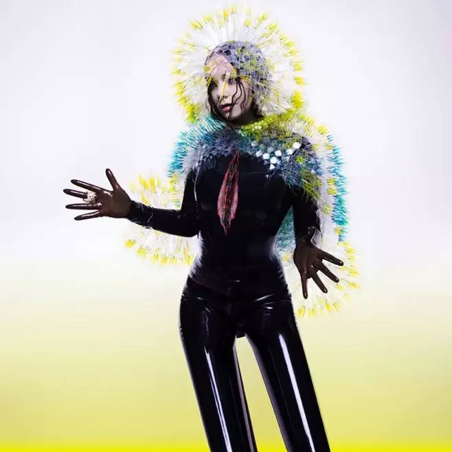 Björk's new album, 'Vulnicura' is out today | Treble