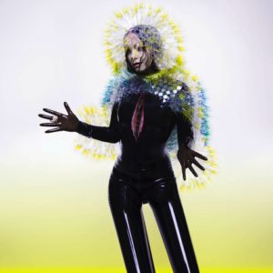 Bjork Vulnicura review