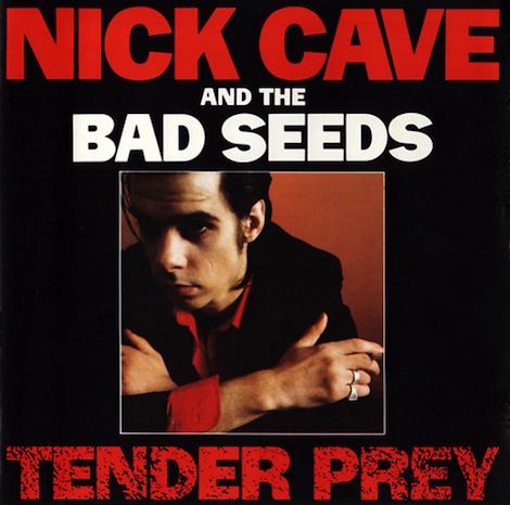 Tender Prey