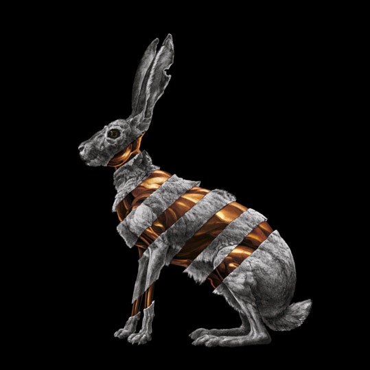 San Fermin Jackrabbit