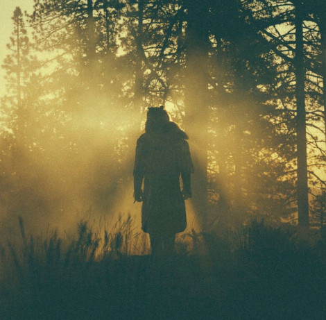 Thundercat The Beyond Where the Giants Roam