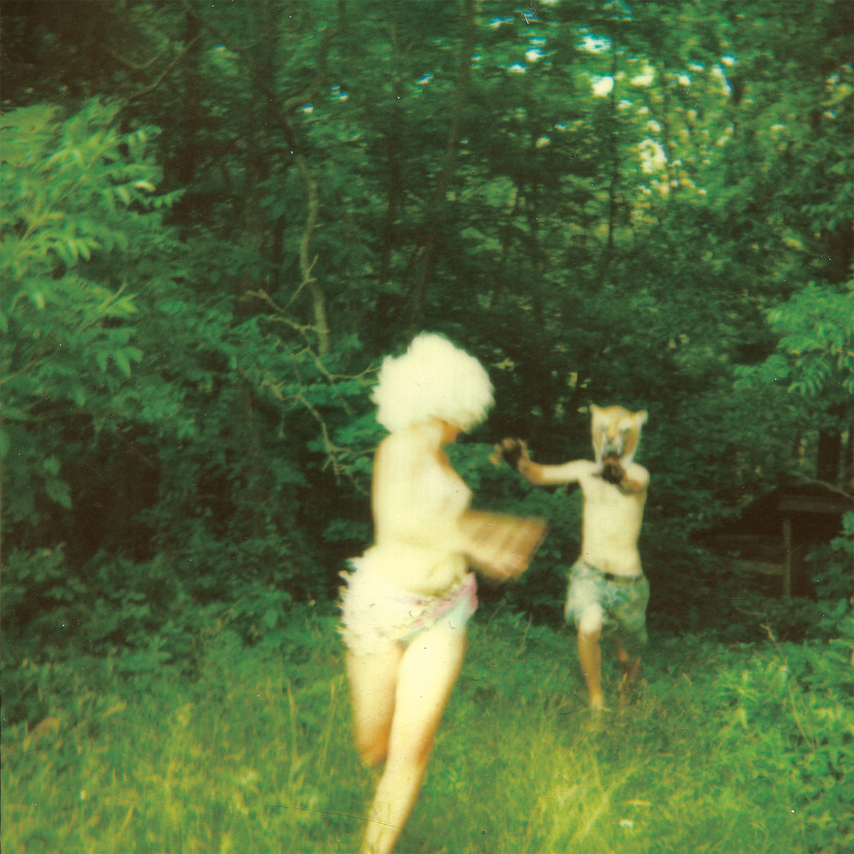 Harmlessness review