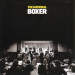 TheNationalBoxer